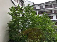 -苏州吴宫泛太平洋酒店