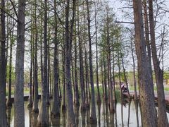 -上海浦江郊野公园-4号停车场