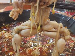 -烧哥美蛙肥肠鱼火锅·十五年社区店