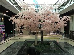 -添赐温泉馆(上南路店)