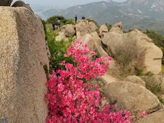 -青岛大珠山景区