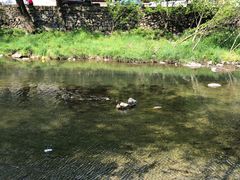-鹿亭中村