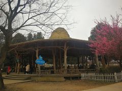-秀丽东方