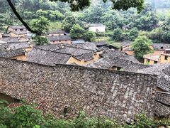 -杨家堂村