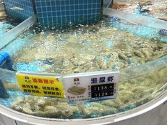 -皮记海鲜1995(寮步店)