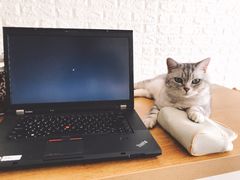 -平行世界·猫咖(首经贸店)