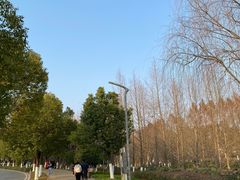 -武汉园博园(武汉自然博物馆)