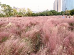 -艾溪湖湿地公园