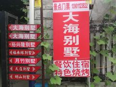 -大海别墅民宿农家院(十渡店)