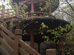 -淇河国家湿地公园