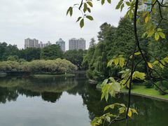 -晓港公园