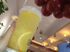-树夏(金楠天街店)