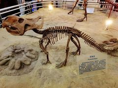 -国家自然博物馆