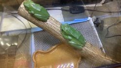 -酷嗒动物文化乐园(cutezoo西溪乐天城店)