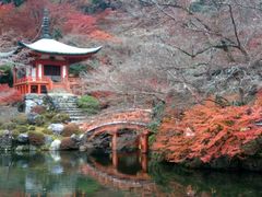 -醍醐寺