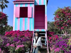 -东南花都花博园