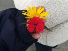 -西南民族大学南区(双流校区)