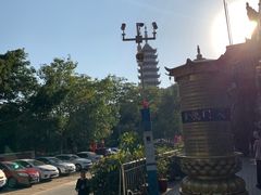 -仙岳公园