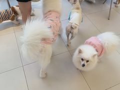 -怪兽屋·羊驼·猫咖·狗咖(俊华广场店)