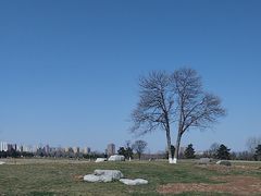 -汉长安城未央宫国家考古遗址公园