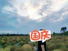 -映月湖中央公园