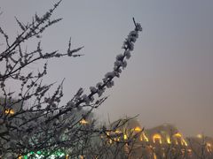 -大连海昌东方水城