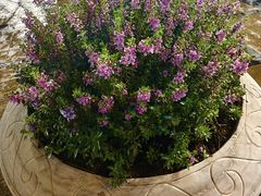 -王府井天主教堂