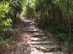 -铁山坪森林公园