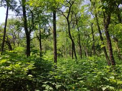 -阳台山自然风景区