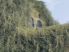 -府河摄影公园