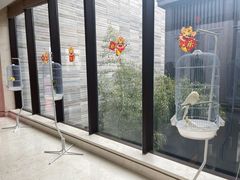 -上海崇明金茂凯悦酒店