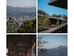 -杨家堂村