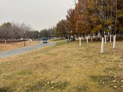 -长春世界雕塑园冰雪艺术天地