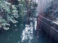 -小洲村