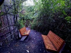 景点-长白岛森林公园