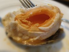 溏心水波蛋-WOKKA by艮上(中海环宇荟店)