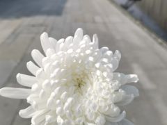 -侵华日军南京大屠杀遇难同胞纪念馆