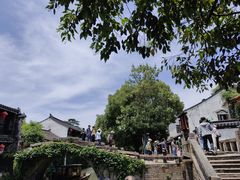 -周庄古镇景区-双桥