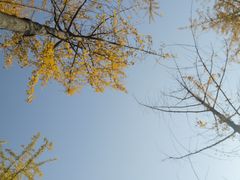 -洨河生态公园