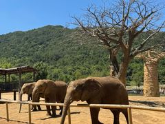 -大连森林动物园