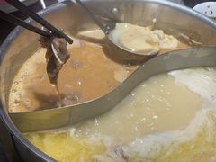 -禄婶鸡煲·打边炉