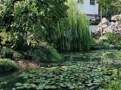 -丝绸小镇荻港古村