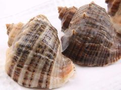 -蔚海之都·象山蒸汽海鲜(仙霞路店)