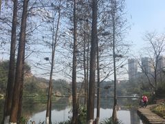 -重庆彩云湖湿地公园