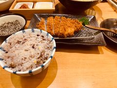 -胜博殿日式炸猪排(悠唐店)