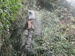 -祁门牯牛降观音堂风景区