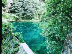 -宁波五龙潭景区