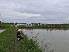 -梁鸿国家湿地公园