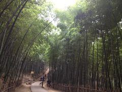-杭州黄龙洞