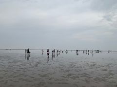 -奉贤海滩
